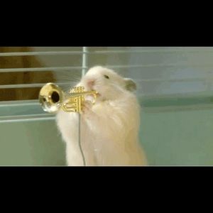 Meet your Posher, Valeria